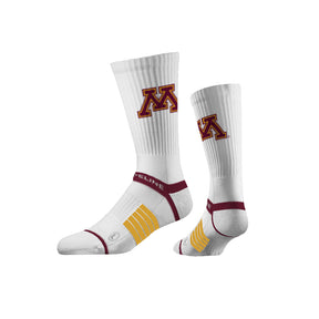 University of Minnesota