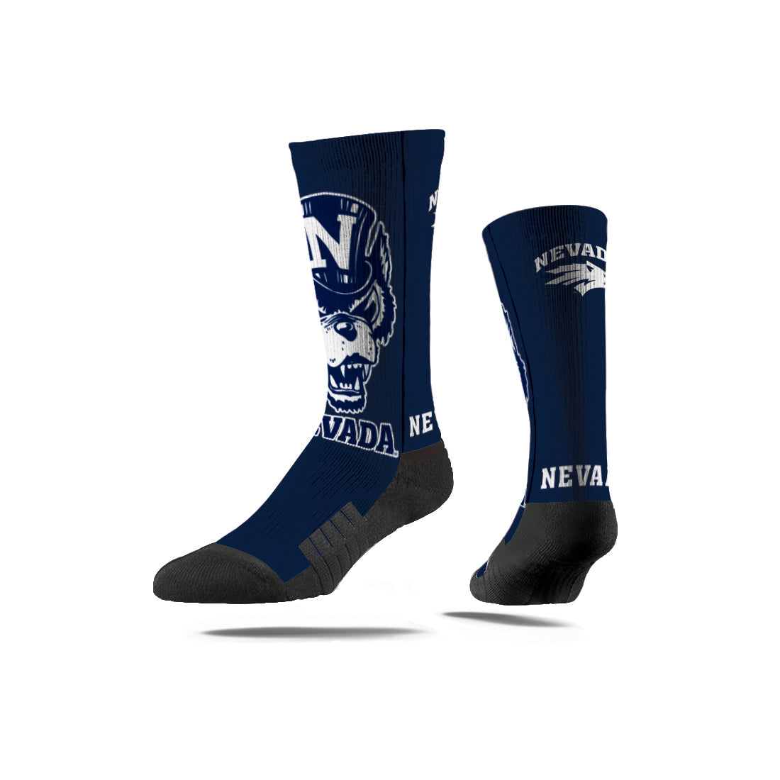 University of Nevada Reno