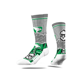 University of North Dakota