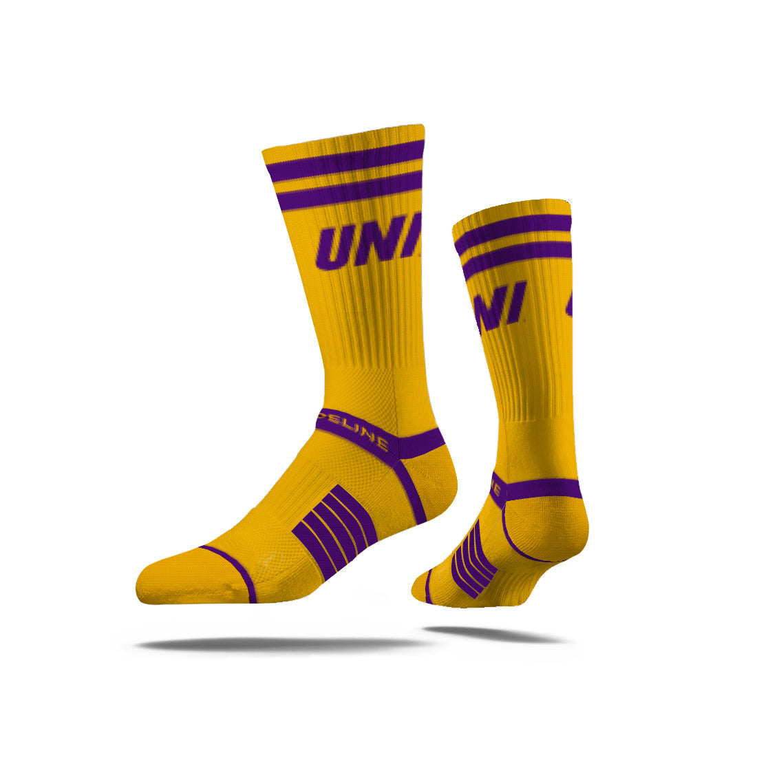University of Northern Iowa