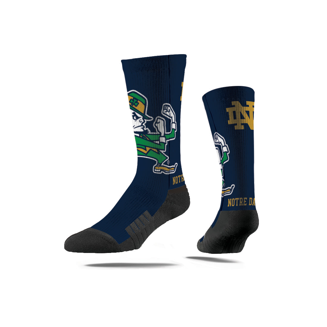 University of Notre Dame