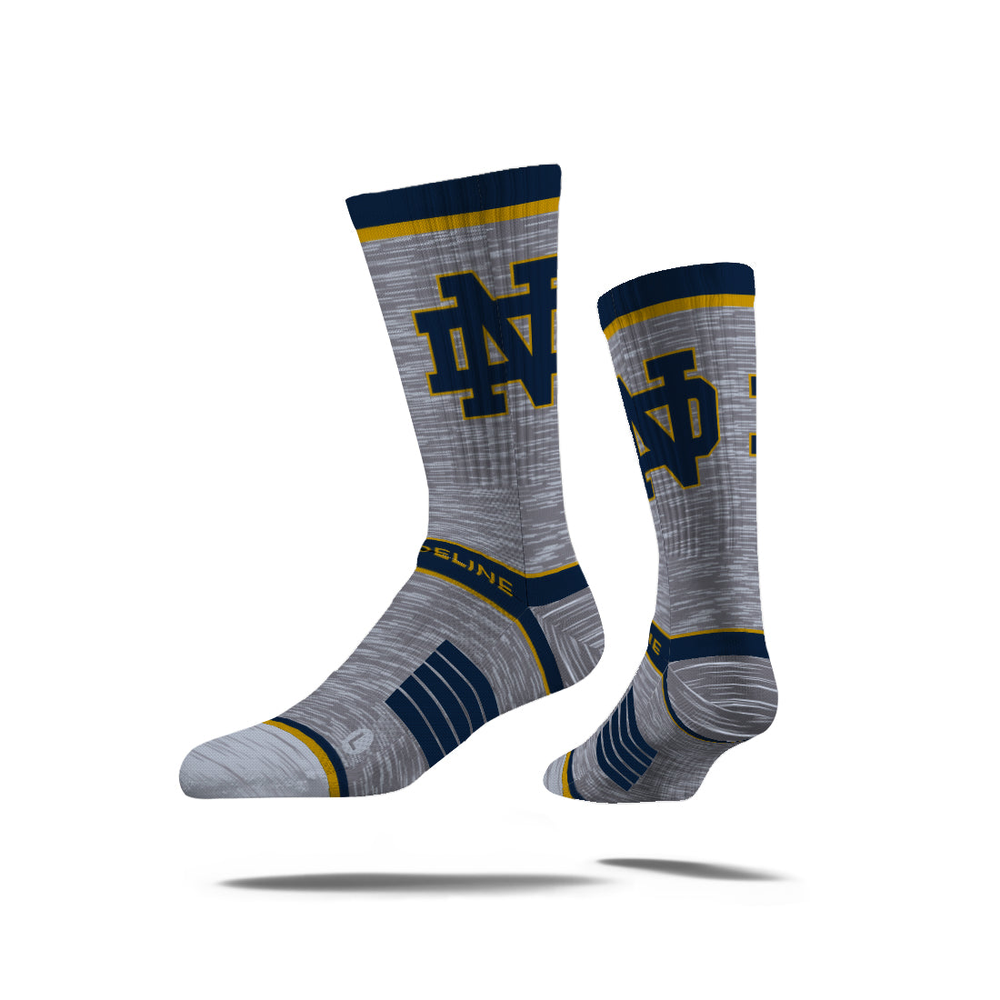 University of Notre Dame