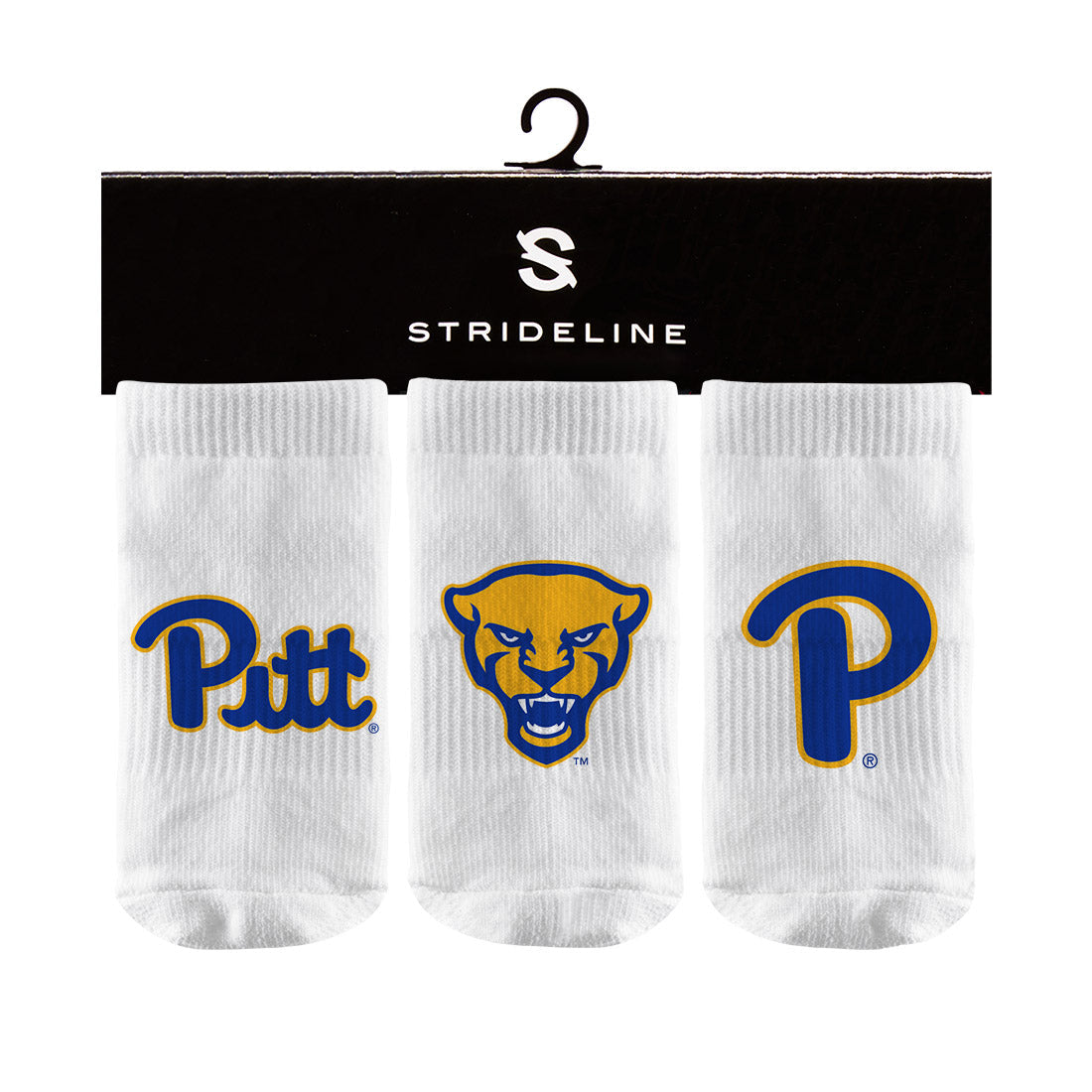 University of Pittsburgh