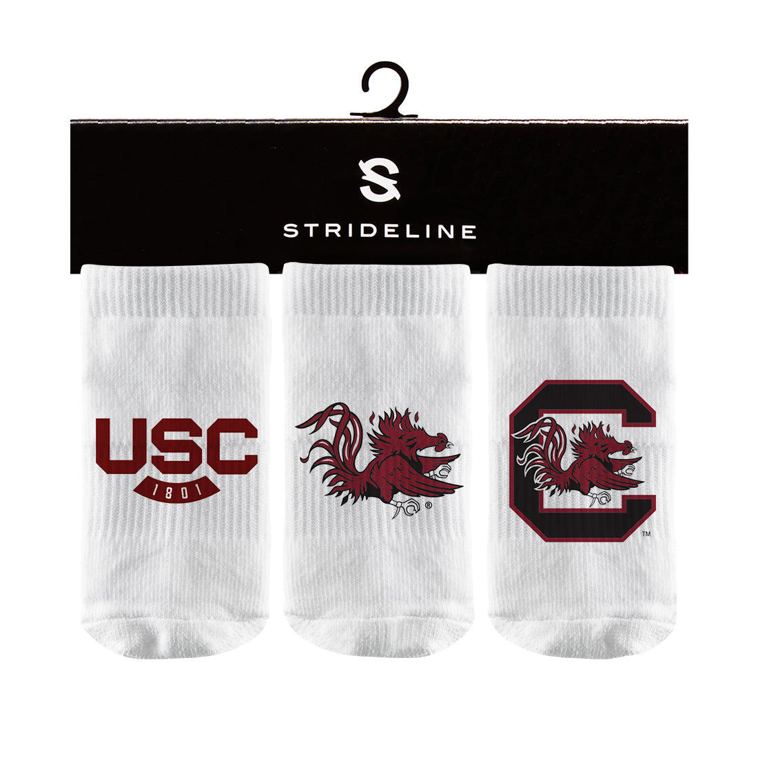 University of South Carolina