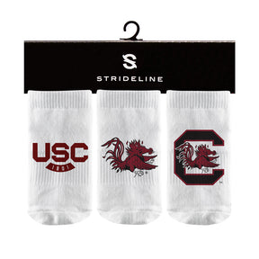 University of South Carolina