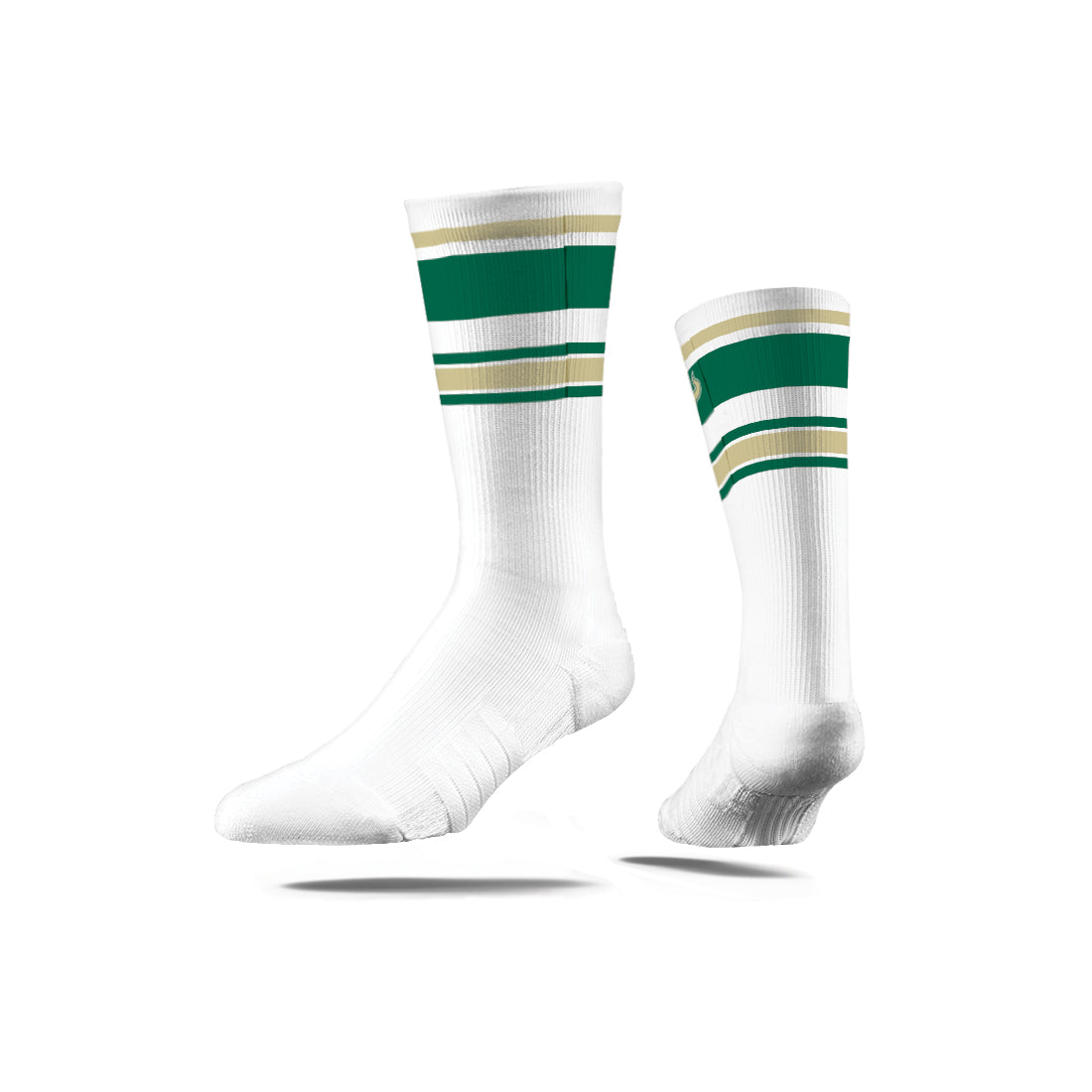 University of South Florida