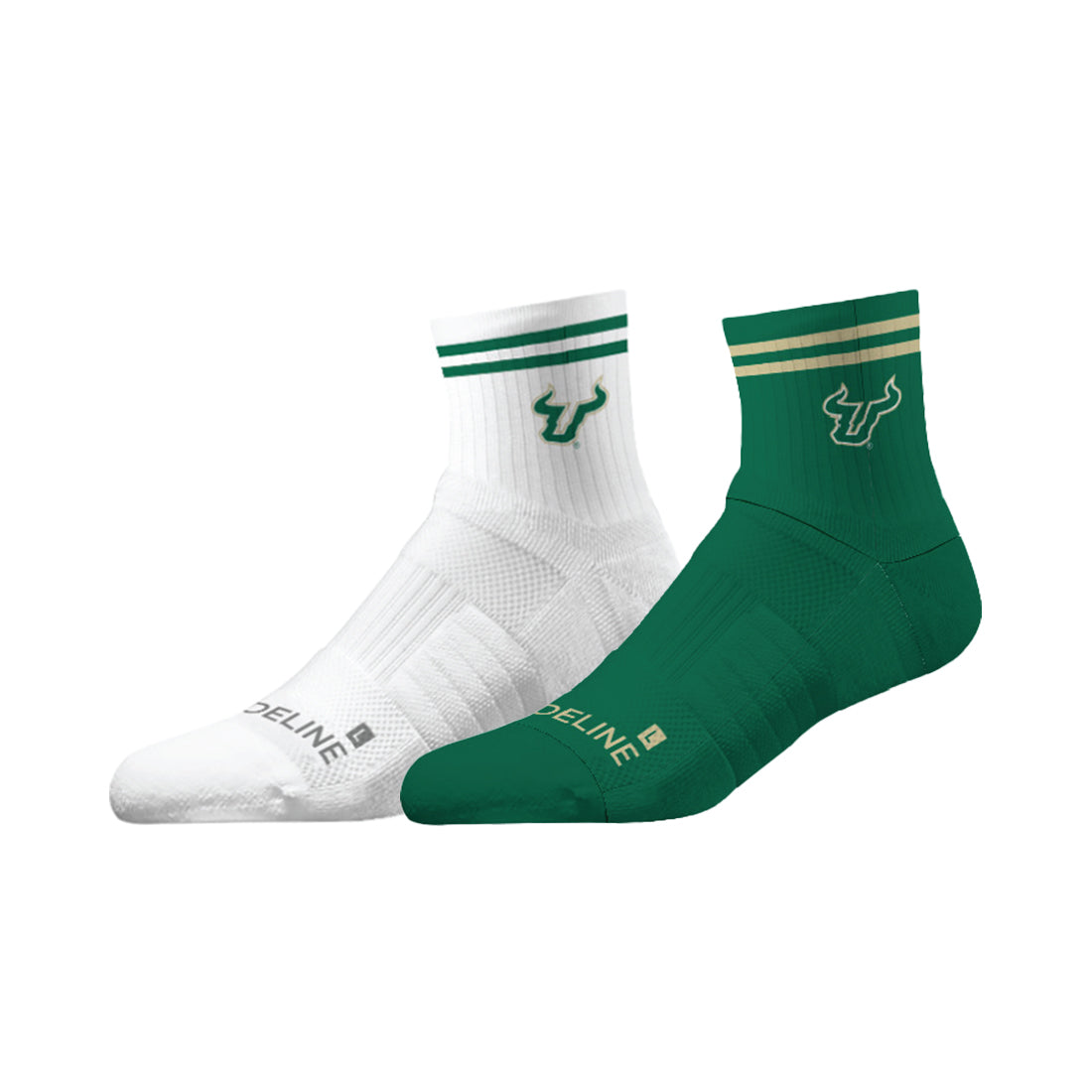 University of South Florida