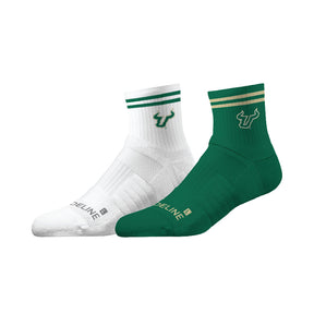 University of South Florida