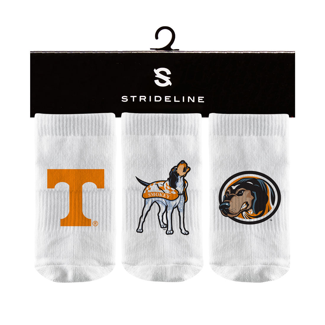 University of Tennessee