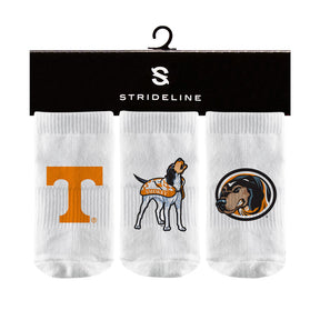 University of Tennessee