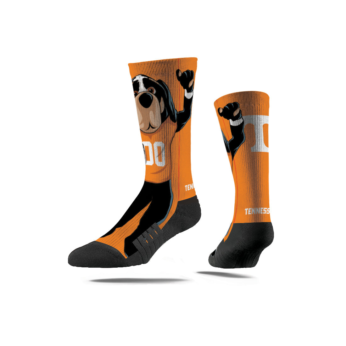 University of Tennessee
