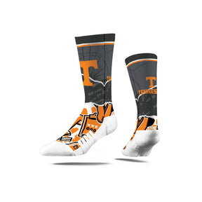 University of Tennessee