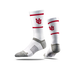 University of Utah