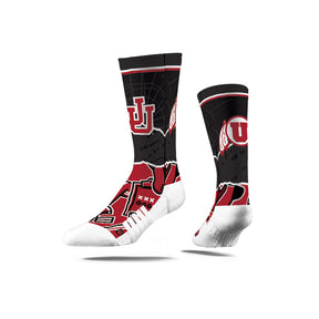 University of Utah