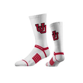 University of Utah