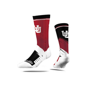 University of Utah