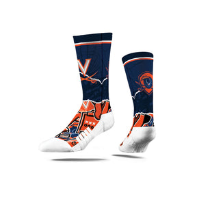 University of Virginia