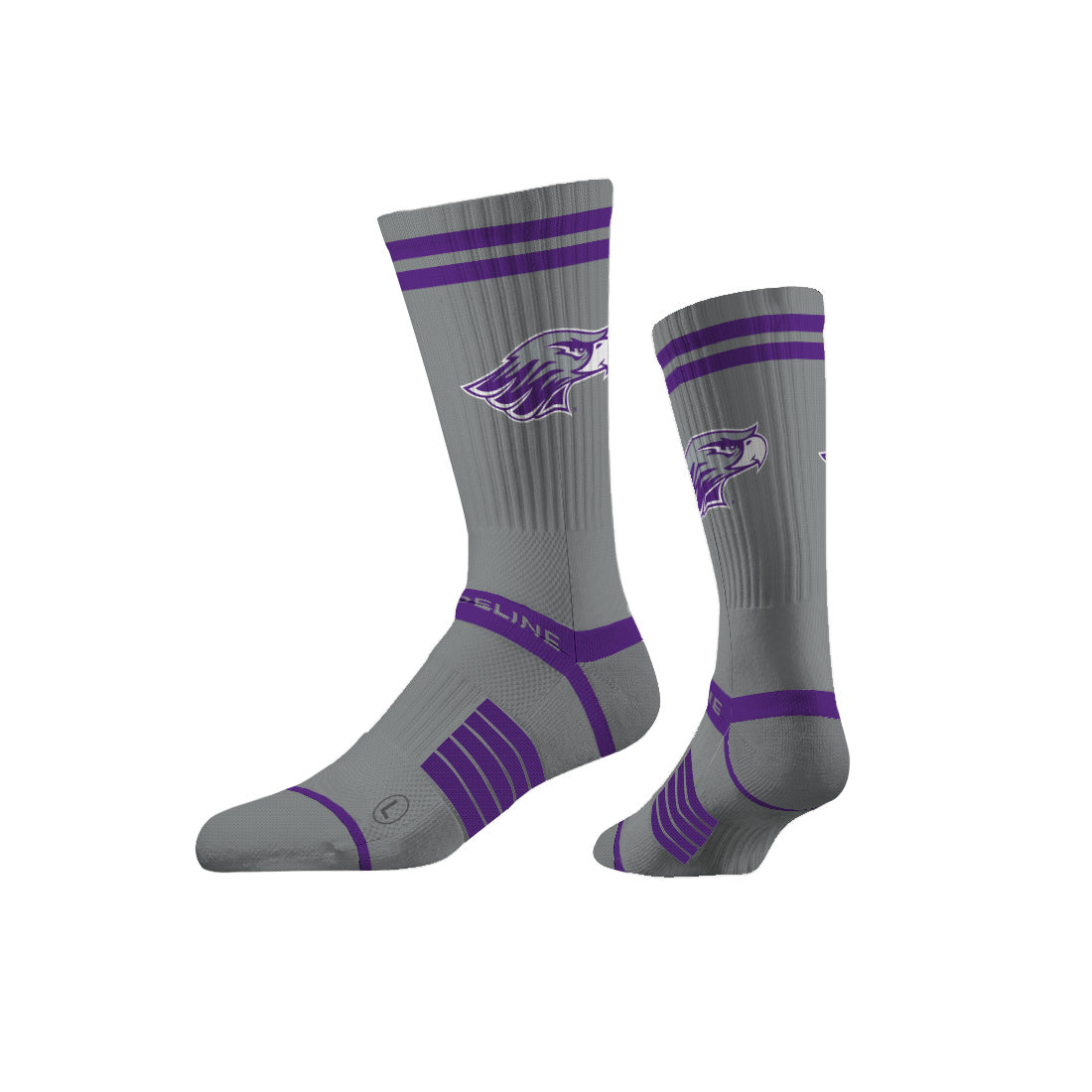 University of Wisconsin-Whitewater