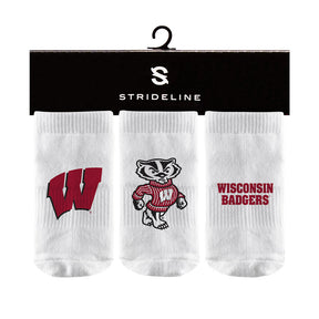 University of Wisconsin