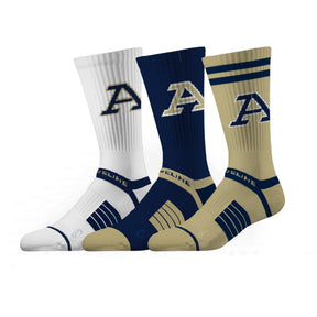 University of Akron