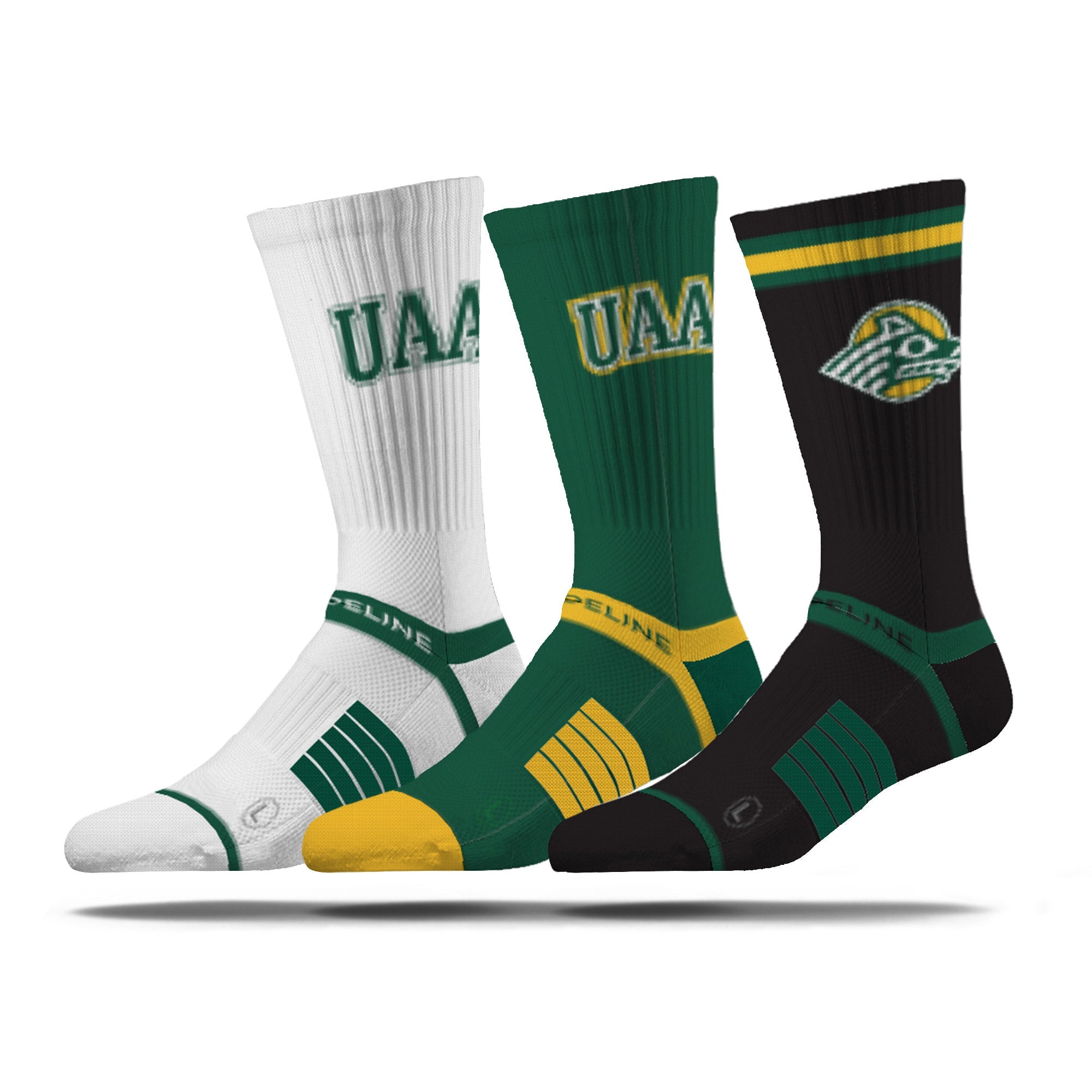 University of Alaska Anchorage