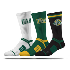 University of Alaska Anchorage
