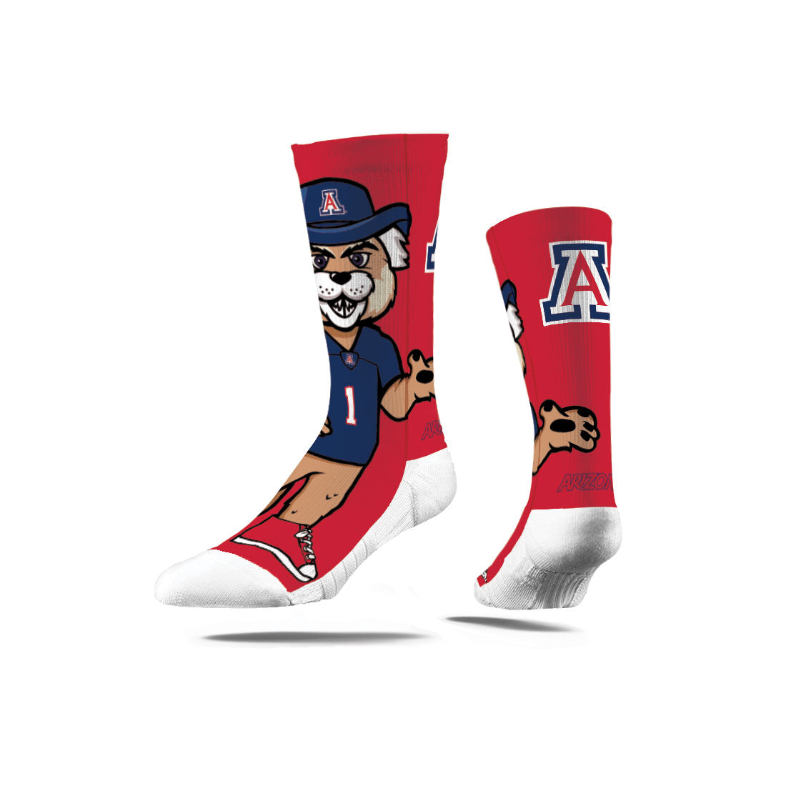 University of Arizona