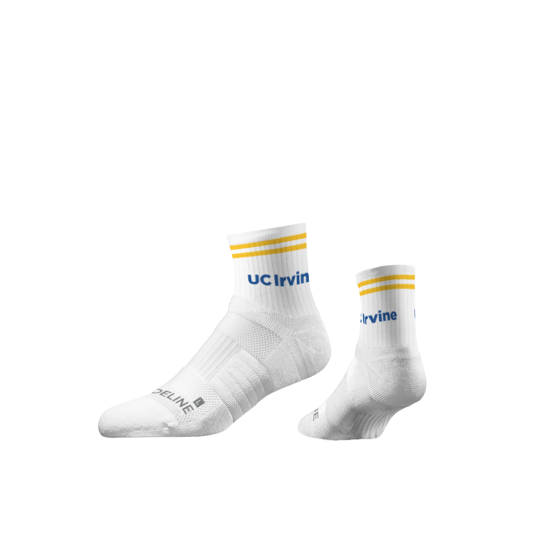 University of California Irvine