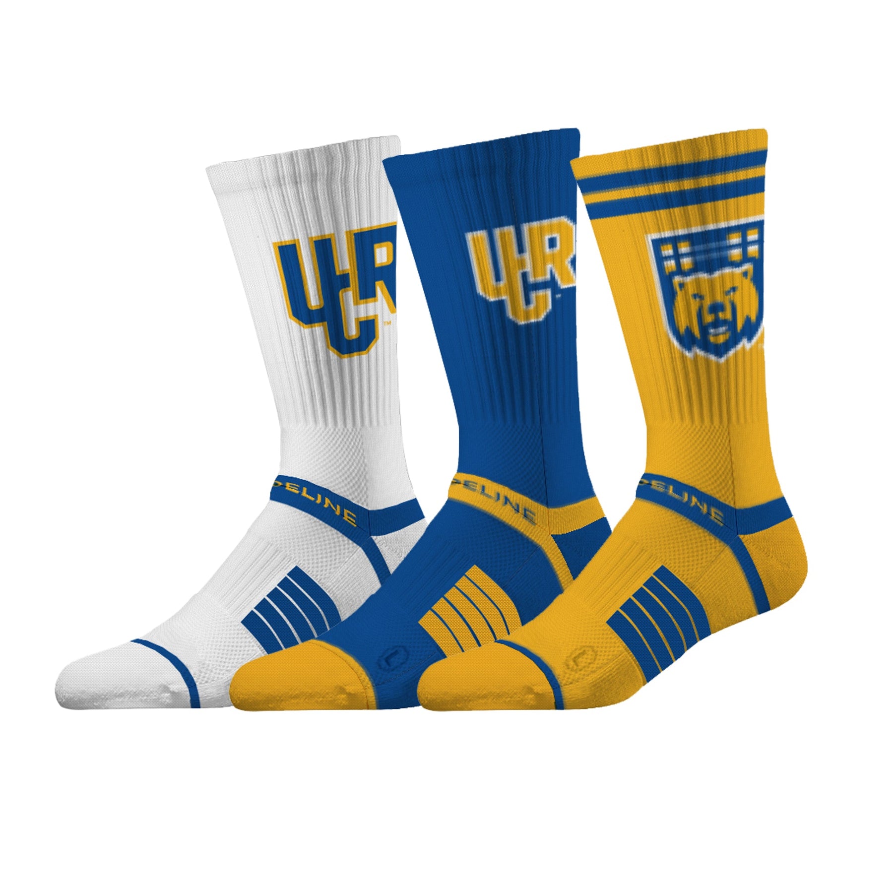 University of California Riverside