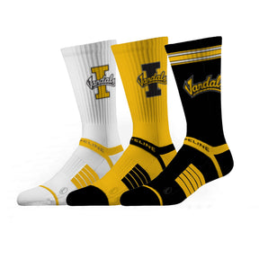 University of Idaho
