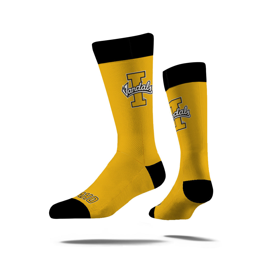 University of Idaho