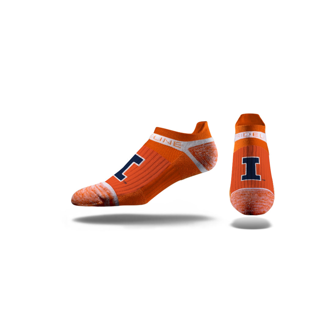 University of Illinois