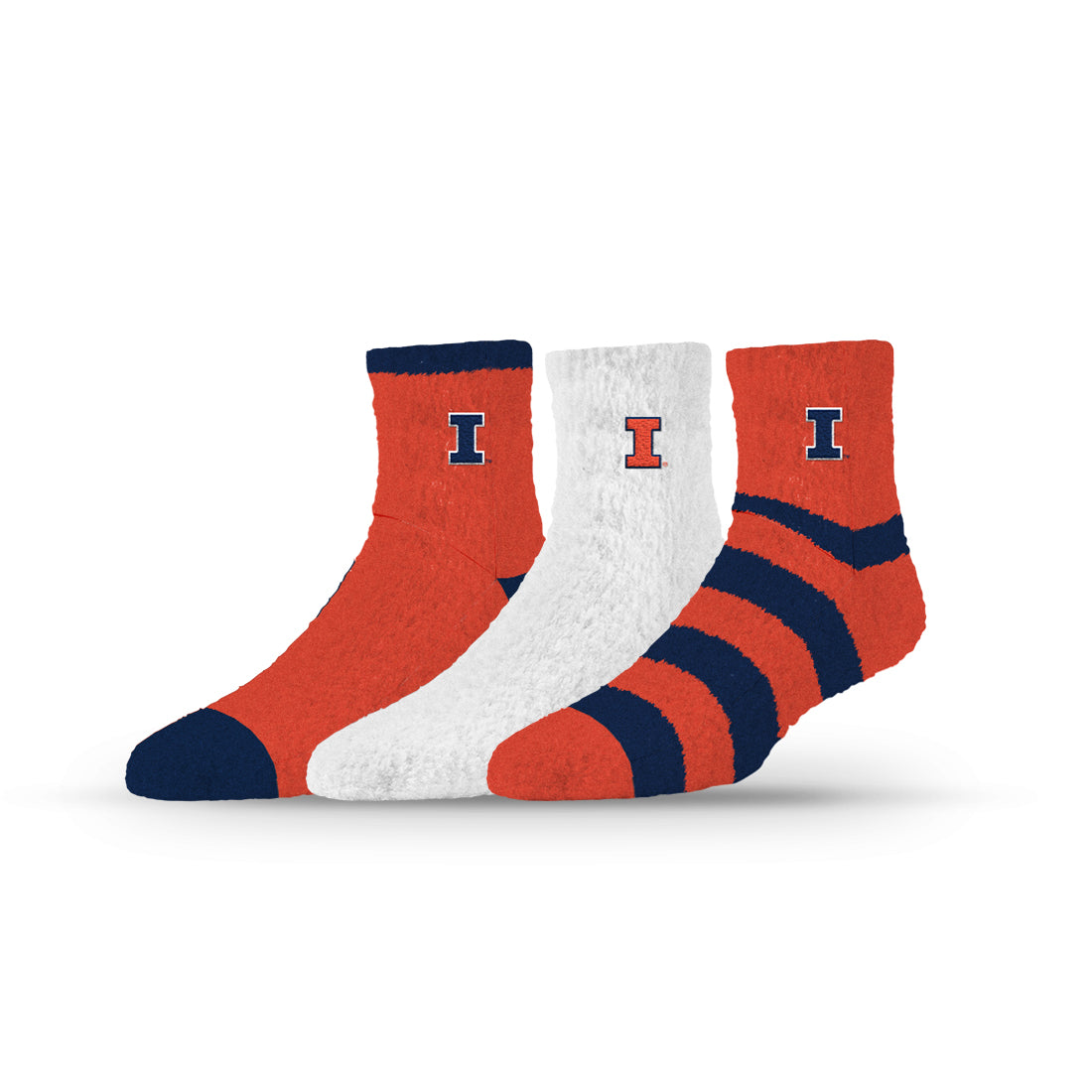 University of Illinois