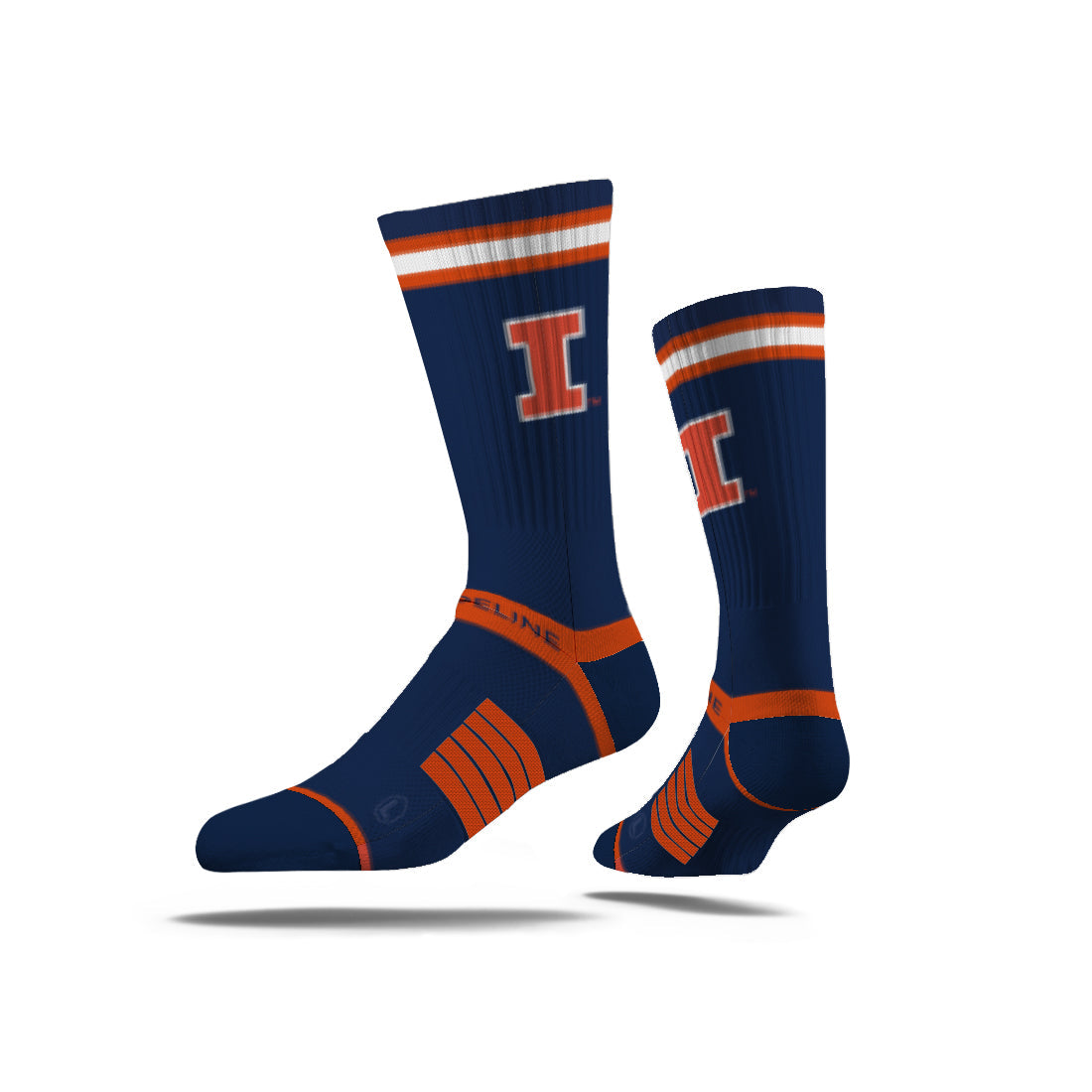 University of Illinois