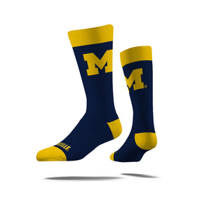 University of Michigan