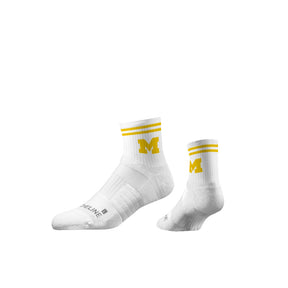 University of Michigan
