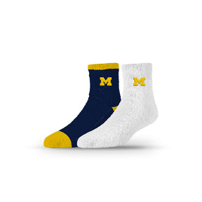 University of Michigan