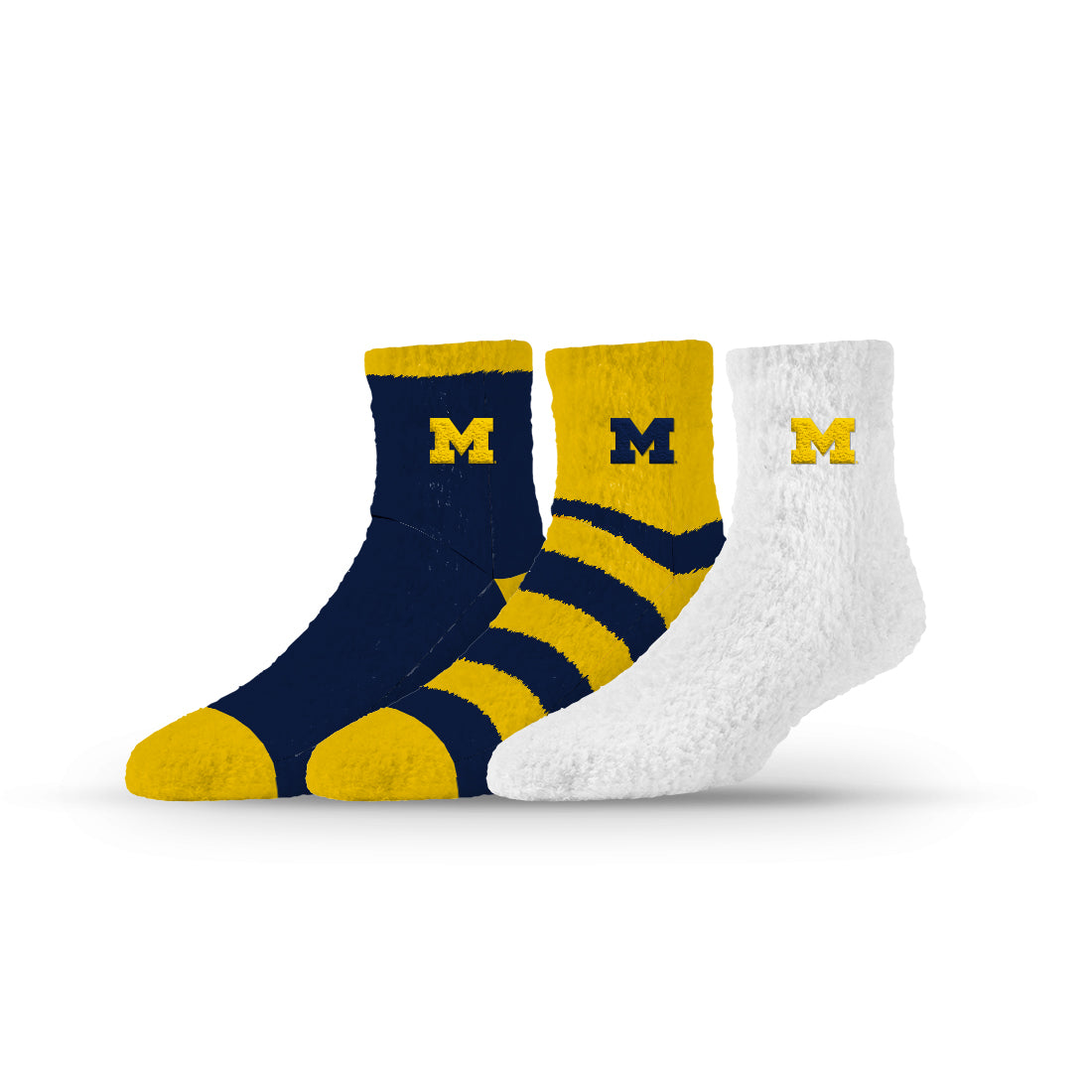 University of Michigan