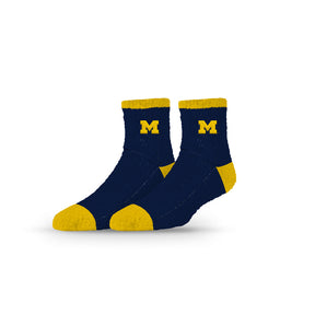 University of Michigan