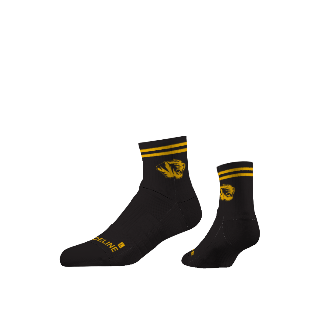 University of Missouri
