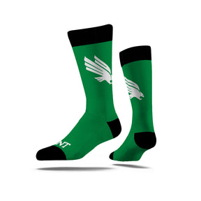 University of North Texas