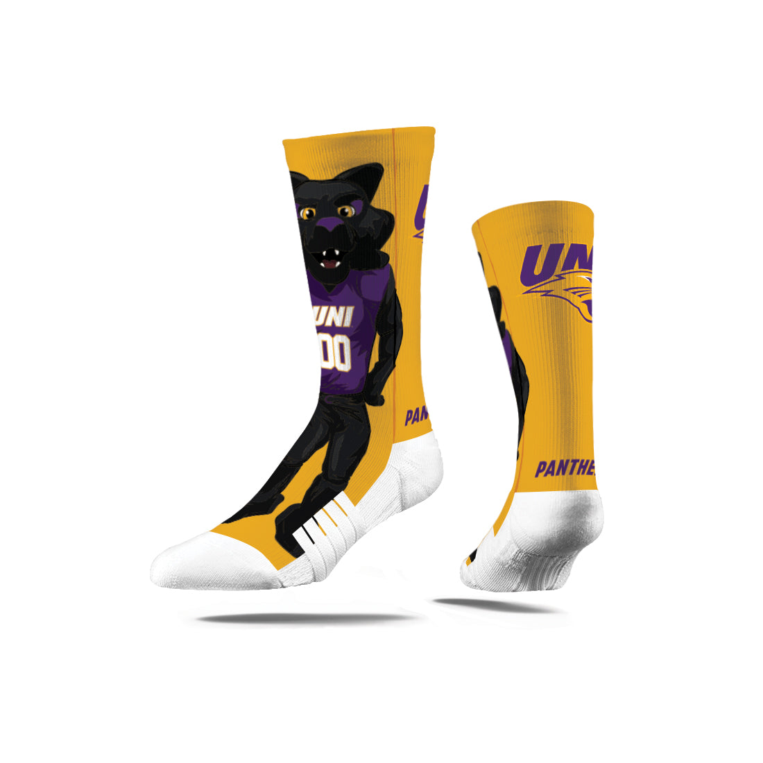 University of Northern Iowa