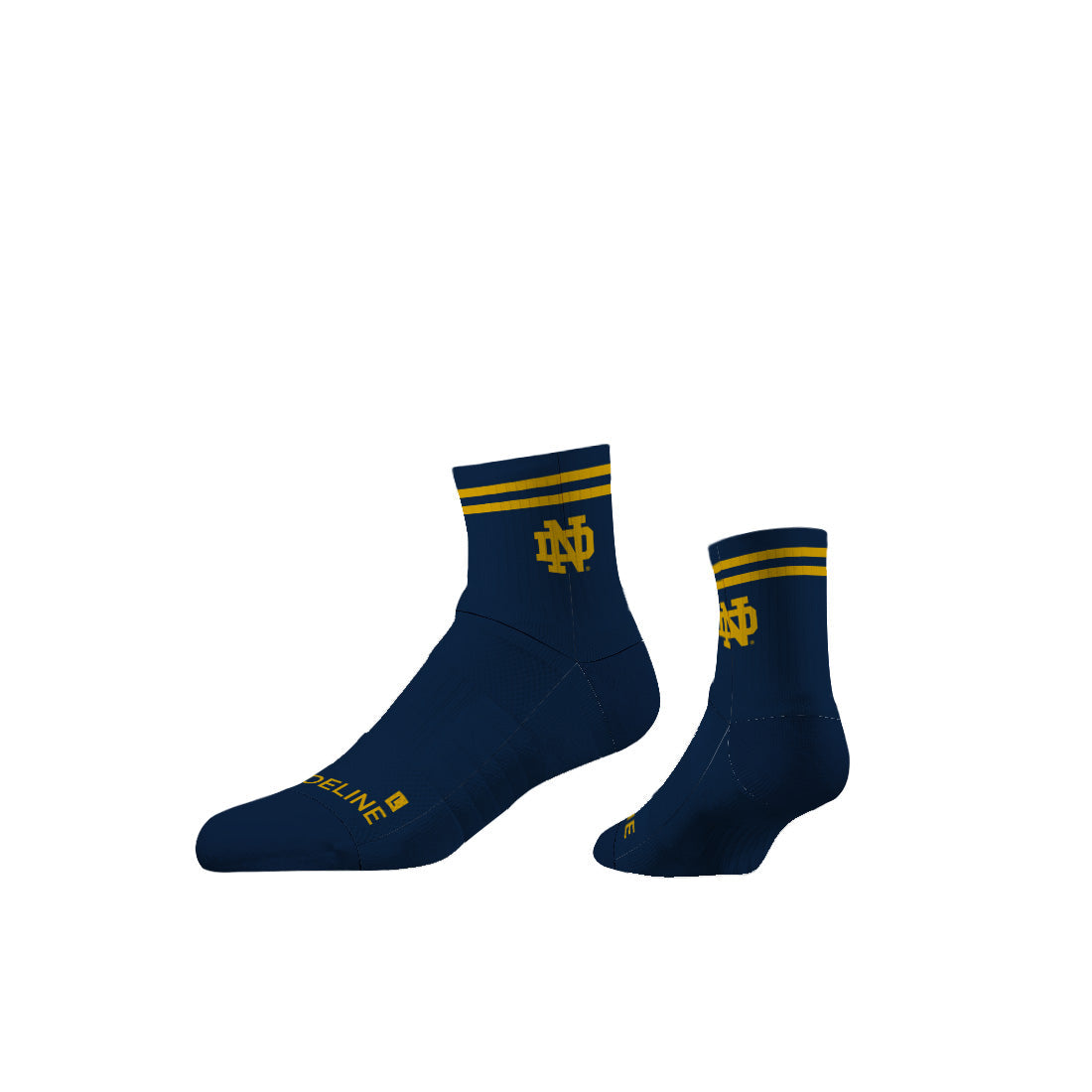 University of Notre Dame