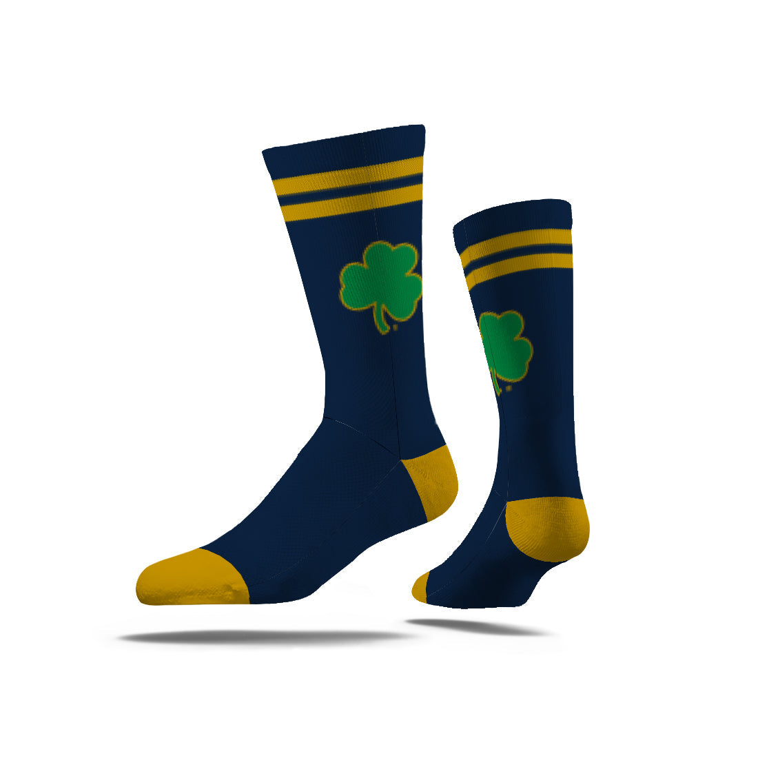 University of Notre Dame