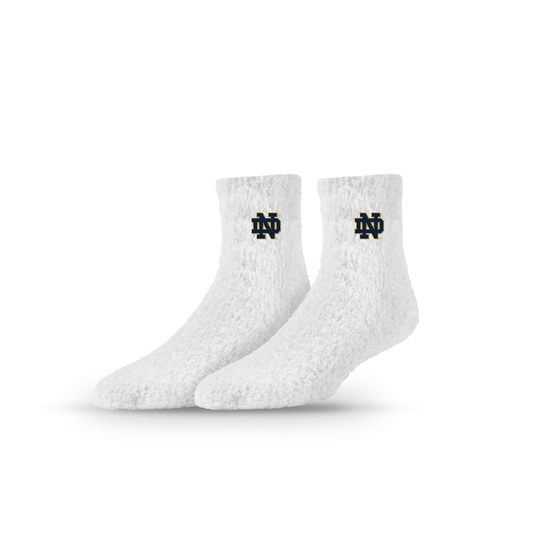University of Notre Dame
