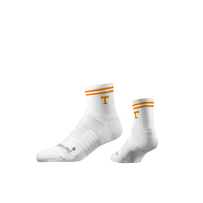 University of Tennessee
