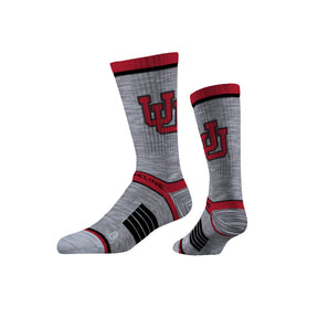 University of Utah