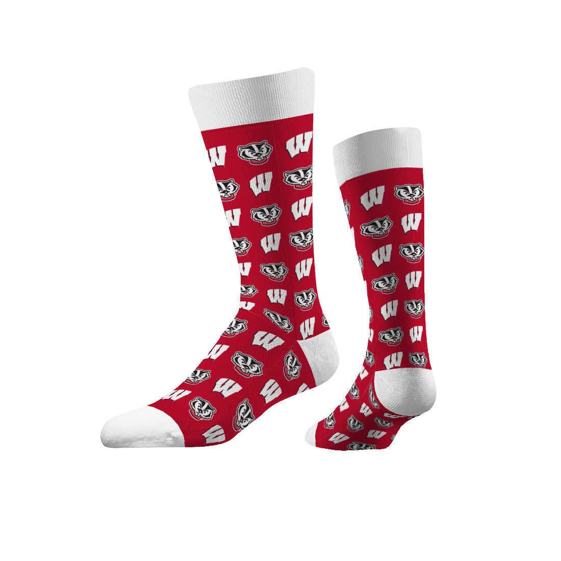 University of Wisconsin