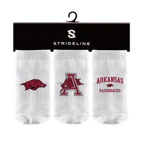 University of Arkansas Fayetteville