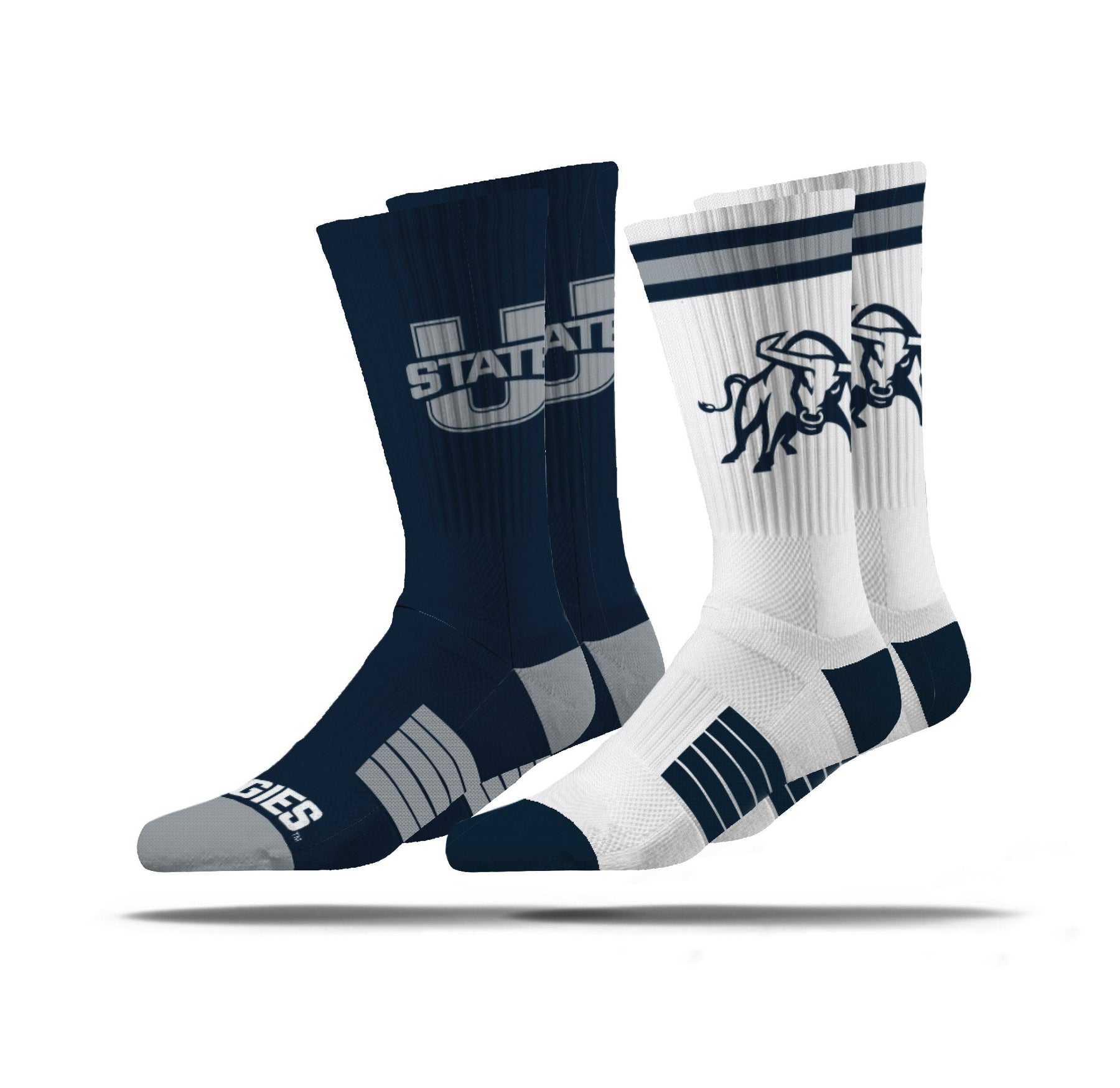 Utah State University